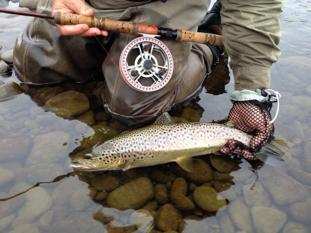 Raven Octopus Hooks, Size 6, 100 Ct Box