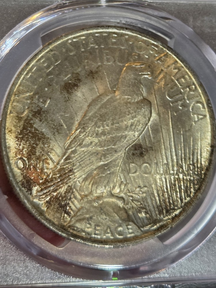 1922 $1 Peace Dollar PCGS MS65 Toned