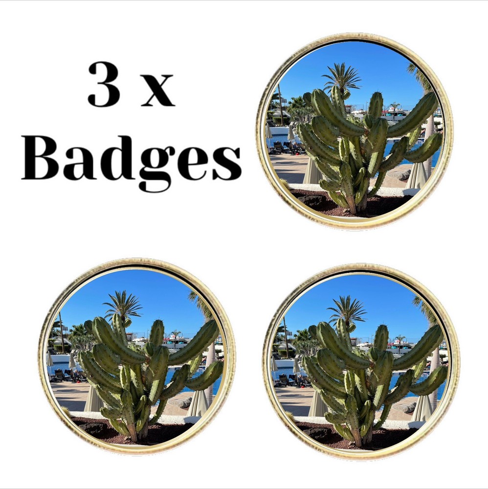 3 x Cactus (BU8)  Lapel Pin Badges
