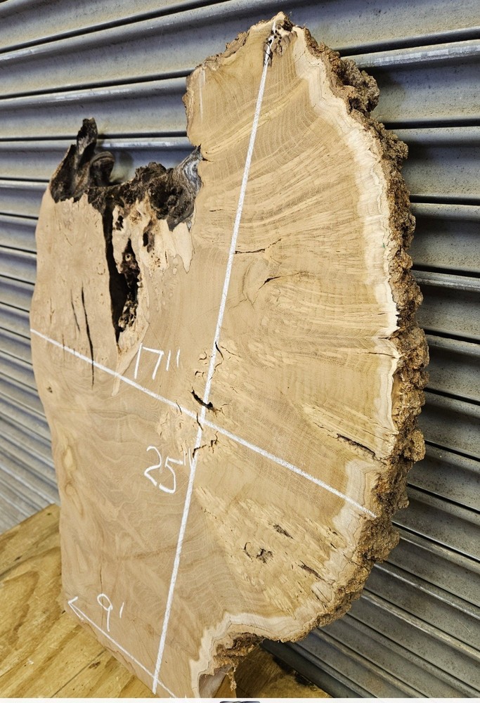 Mulberry Burl Slice