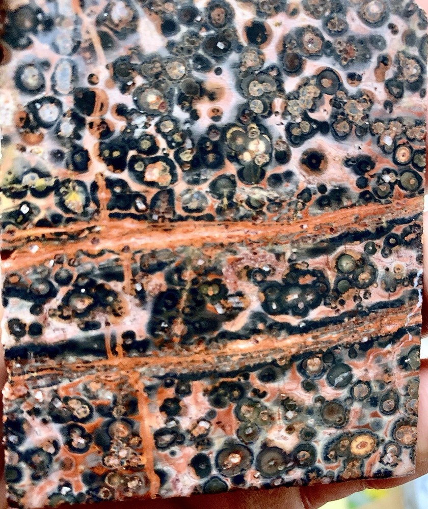 leopard skin jasper slab