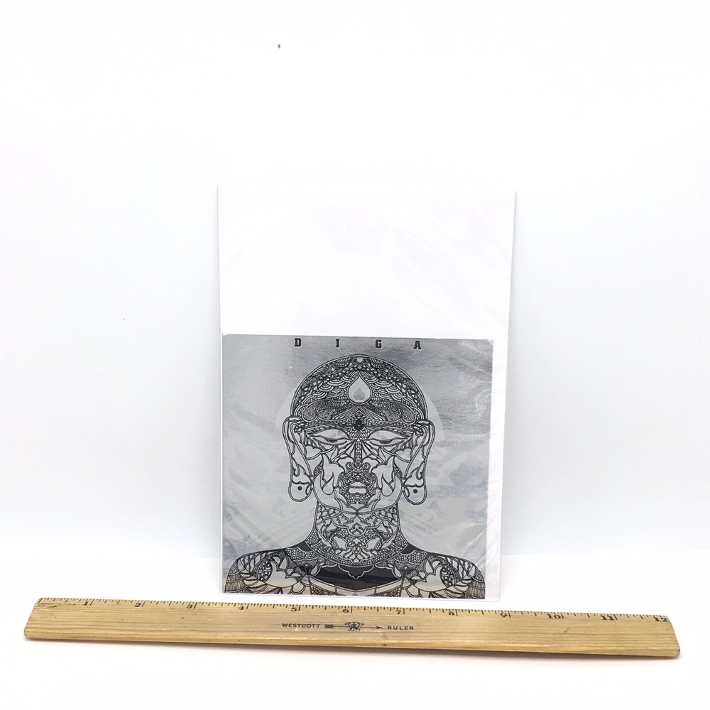 Diga Flyer With Hindi Inspired Artwork