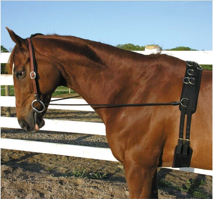 Camelot Neck Stretcher - Black