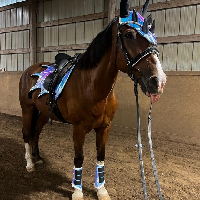 Dragon Saddle Pad Set with Ear Bonnet and Blushing Boots