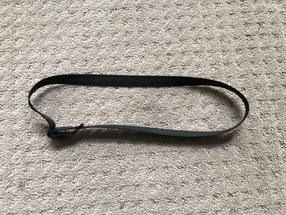 Nordic Track Walkfit Drag strap