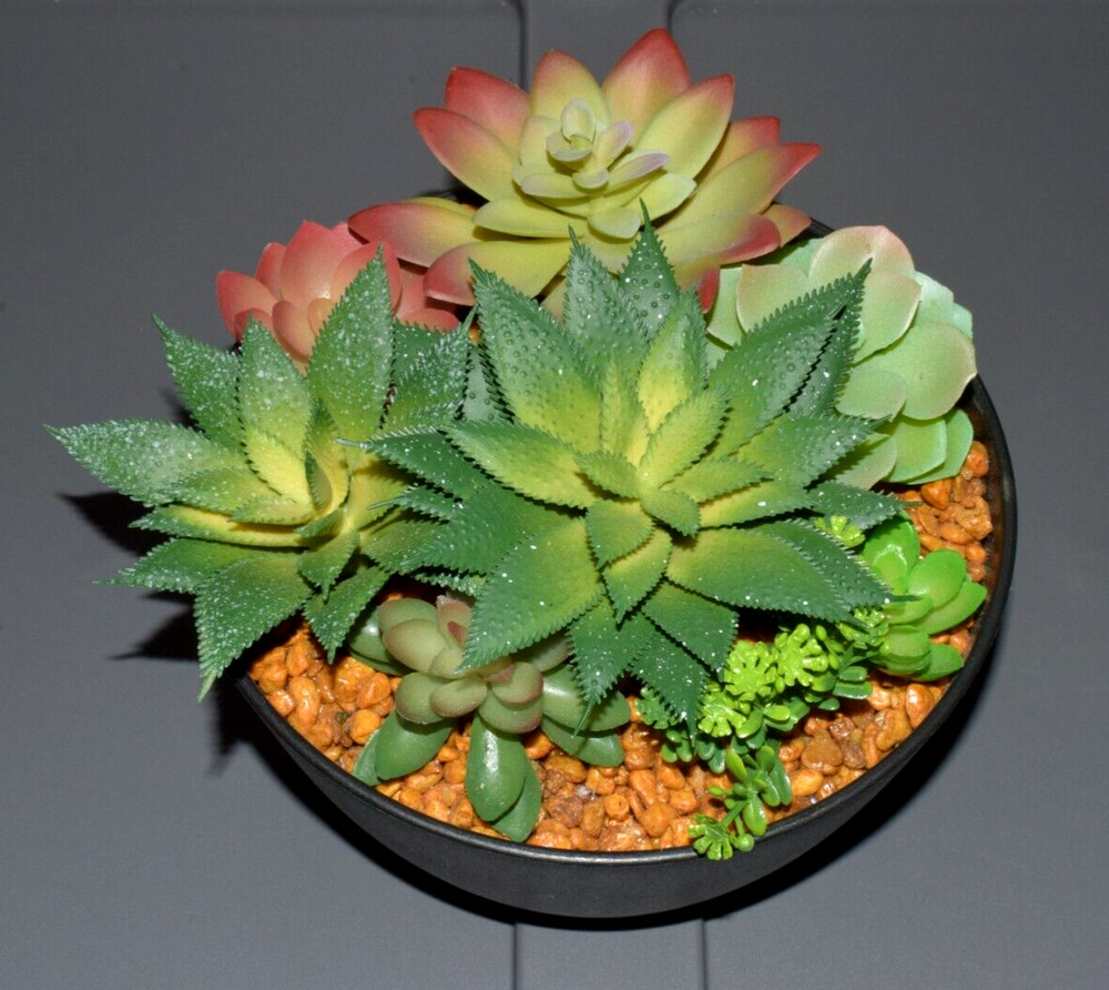 Artificial Succulent Plants in Hard Plastic Black Pot VGC!