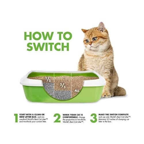 CAT LITTER Original Unscented 8 Pounds