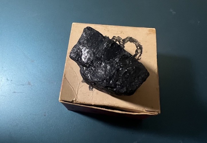 Pet Coal Novelty Gift