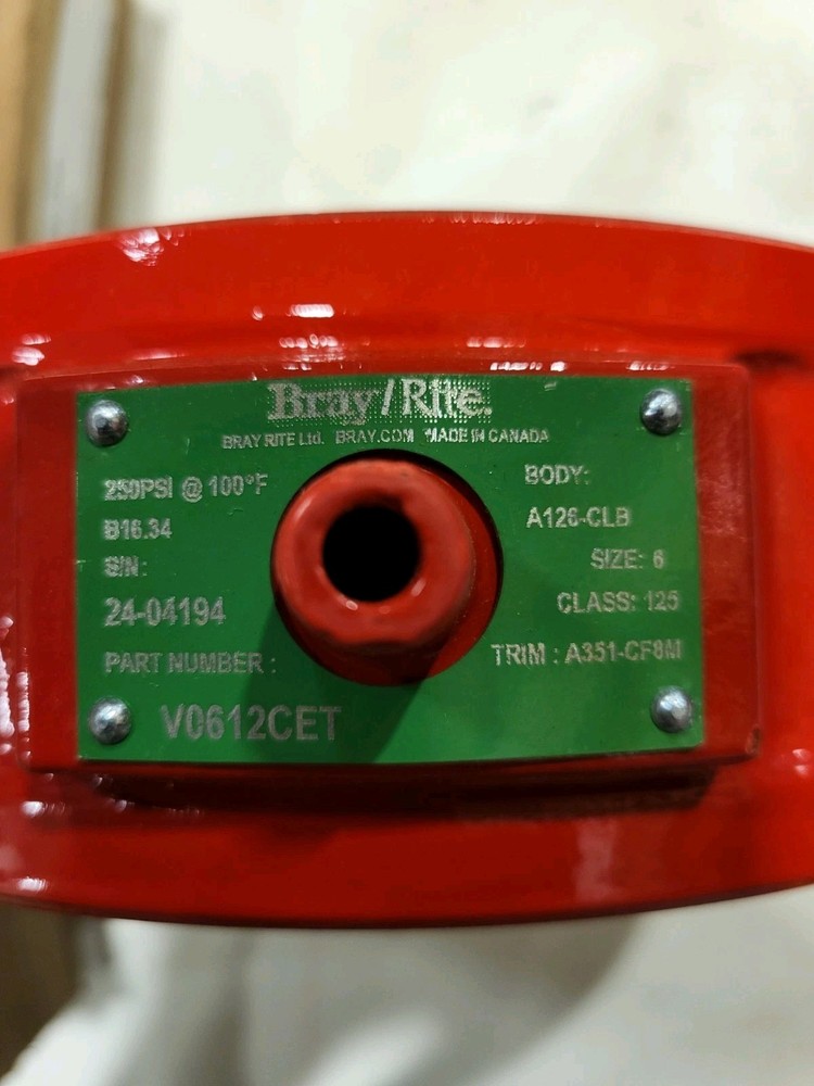 Bray/Rite Check Valve 6" VO61CET. Qty2