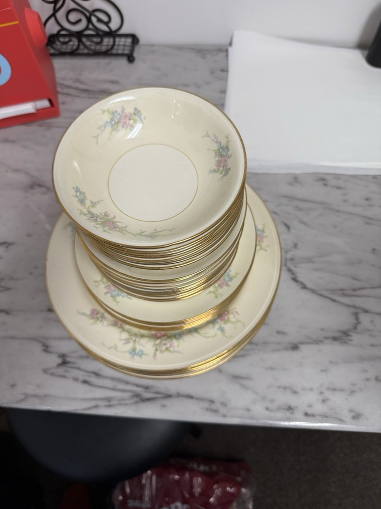 Nautilus Floral Gold Trim Dinner Set- eggshell