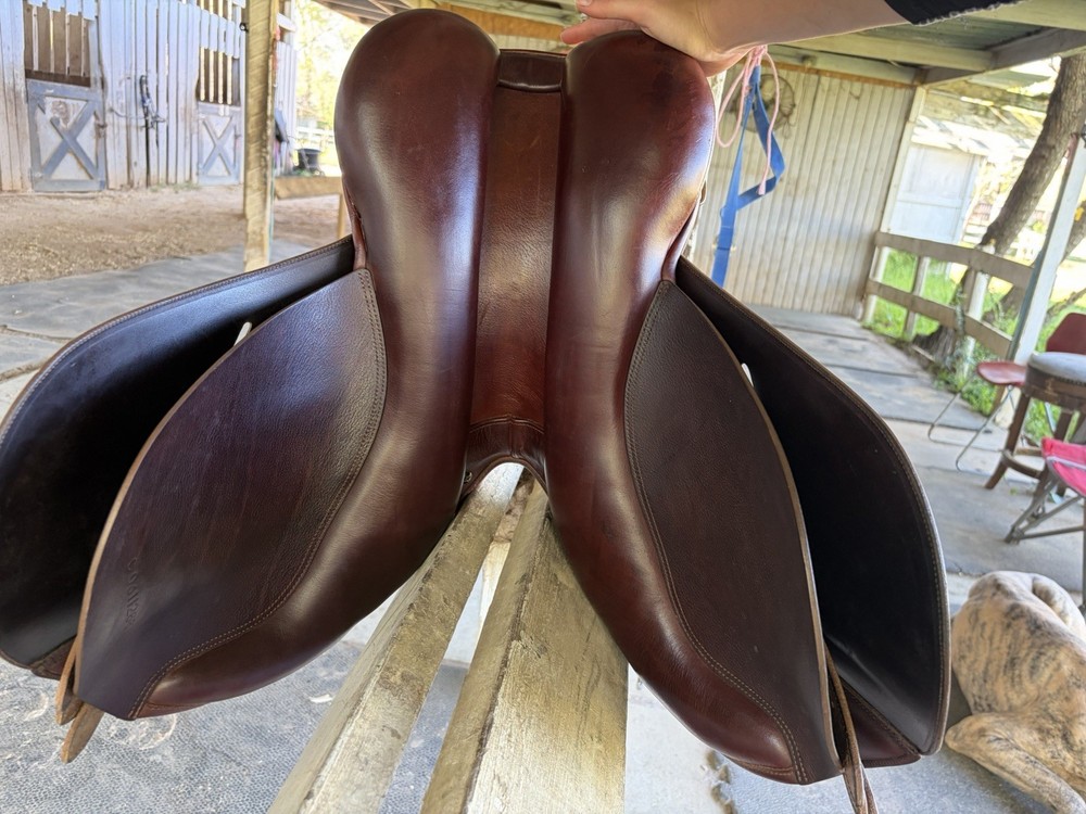 Collegiate Post-Graduate all-purpose saddle, 17”