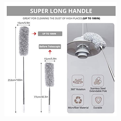 Webster Cobweb Duster, Feather Duster for Home, Extendable Dusters for