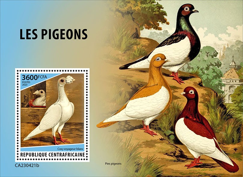 Pigeons