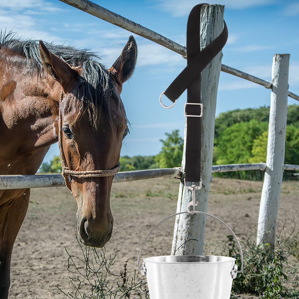 4Pcs Bucket Harness Grooming Leash Hooks Fixed Rope Loop