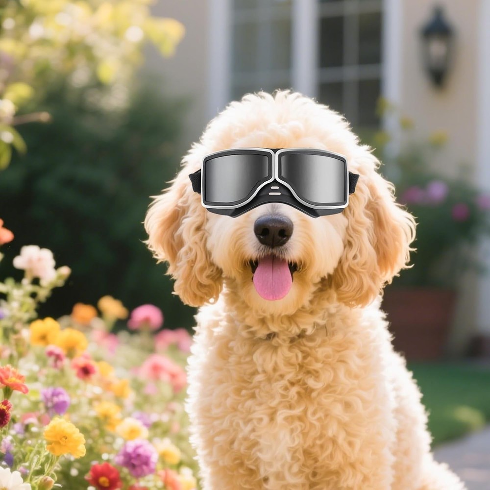 Enhanced Dog Eye Protection: Adjustable Goggles for Medium to Large Breeds