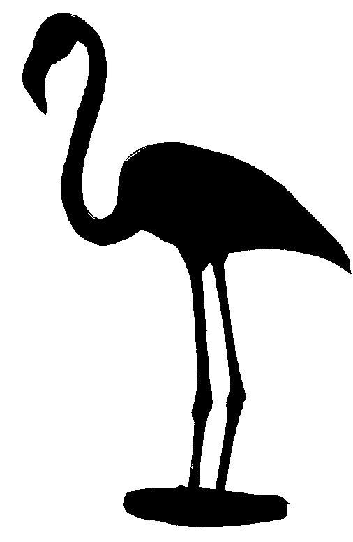 Blueprint Plan For Yard Shadow FLAMINGO