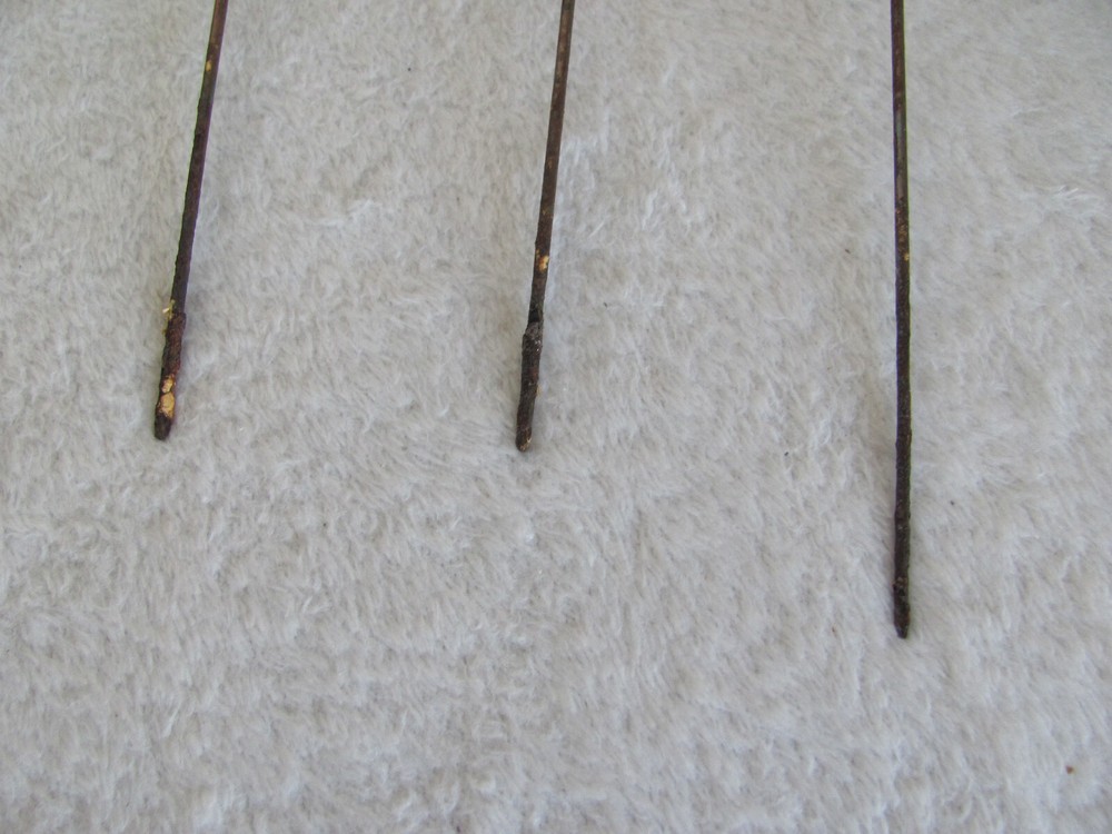 Long Stem Copper Rose(s) Up to 7 Available