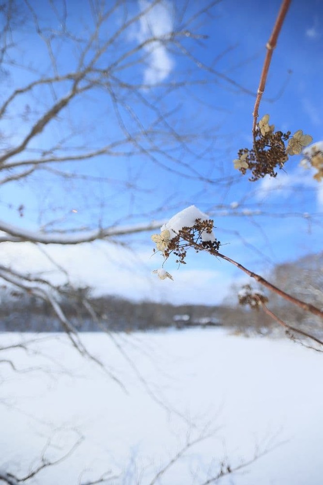Canon EF 20 F2.8 USM [Defective]