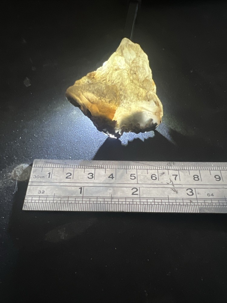 Gold in Quartz Specimen