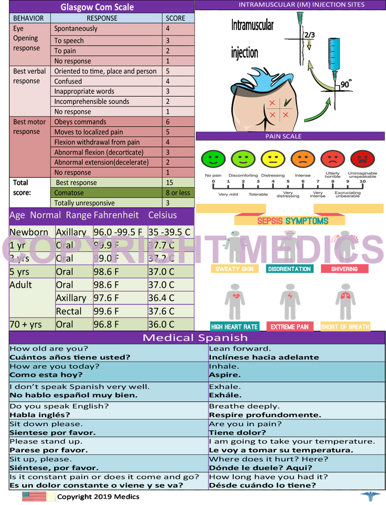 Nurse Clipboard -GRAY -reference sheets -great for clinical