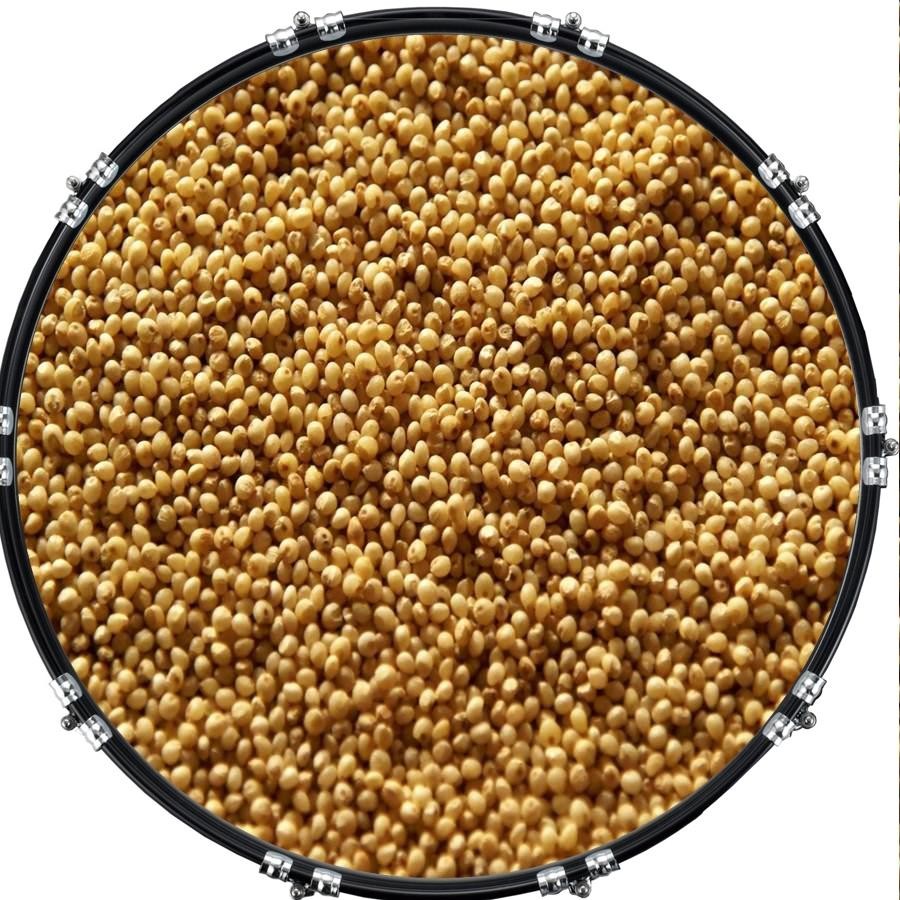 Custom 22" Kick Bass Drum Head Graphical Image Front Skin Corn