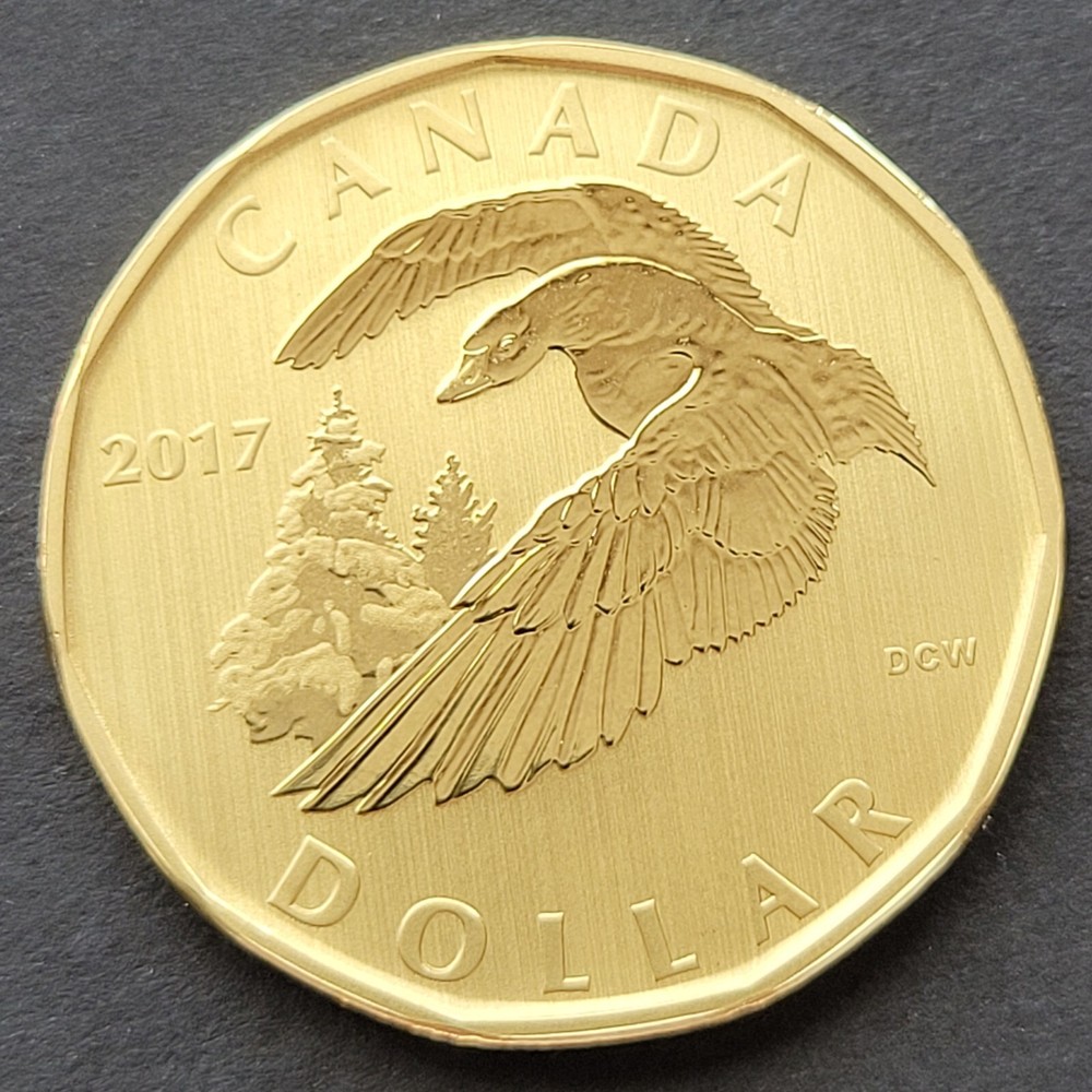 ***  CANADA   LOONIE   2017  ***  SPECIMEN  ***  SNOW  GOOSE  ***