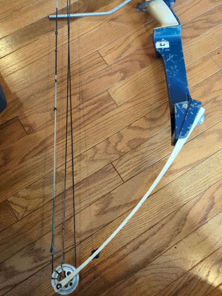 hoyt Easton contender compound bow