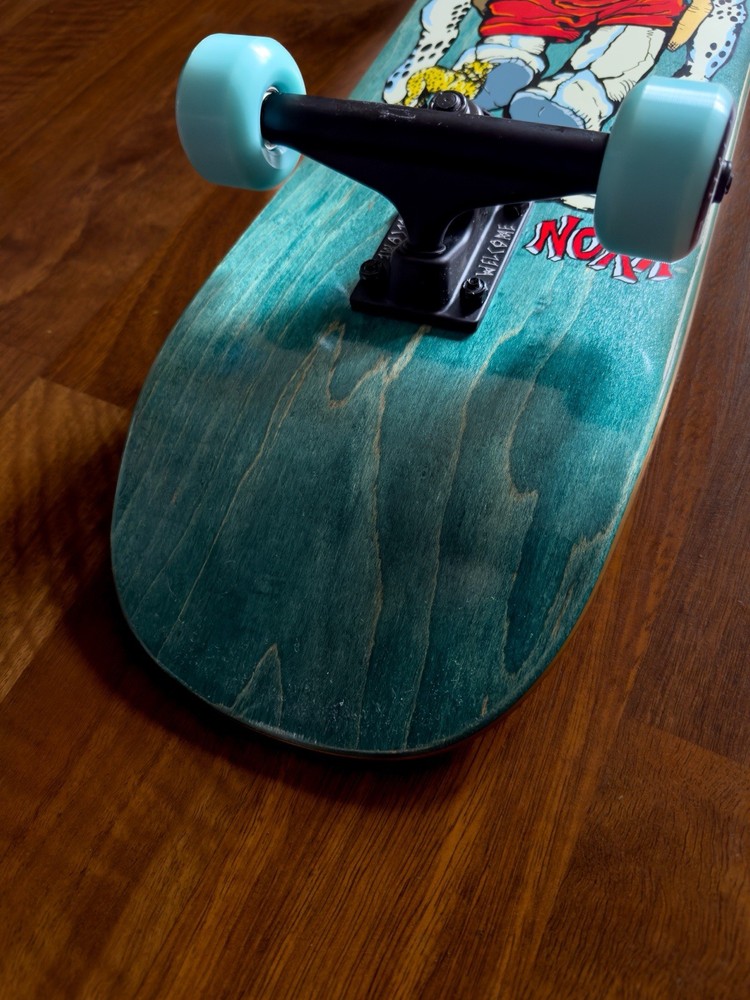 Welcome Complete Teddy Nora Vasconcellos Teal Factory Assembled
