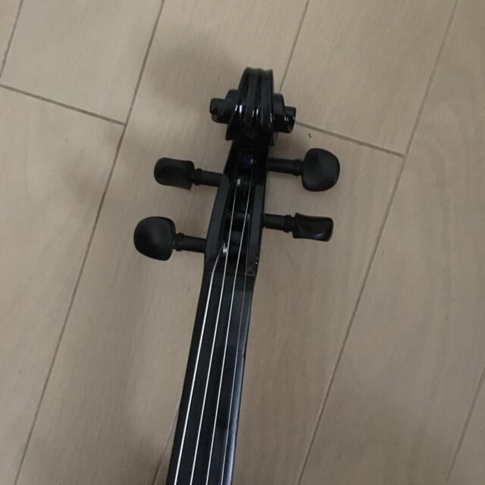 electric violin