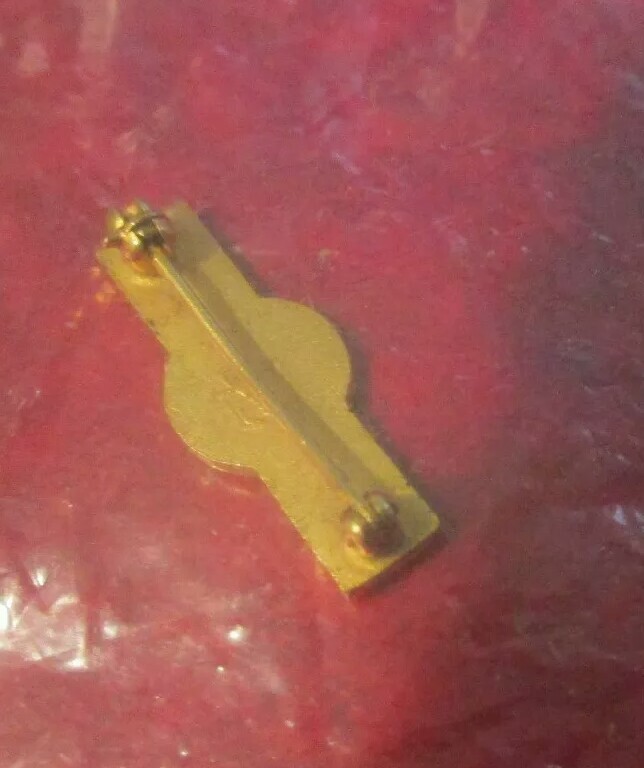 WWII 5th Army Veteran Lapel Pin