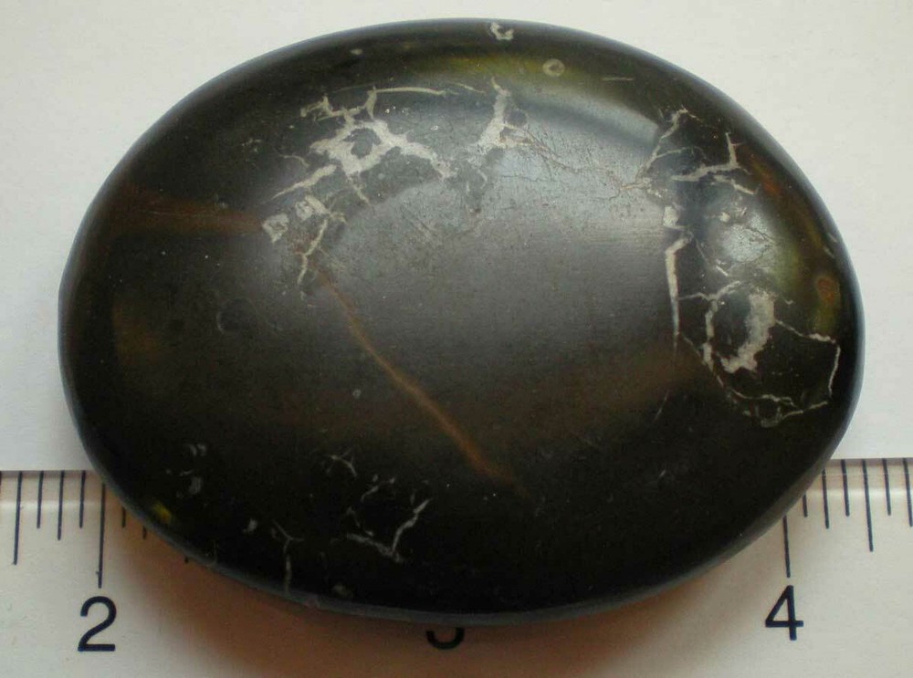 Healing Shield - Septaria Palmstone Morocco sc1065