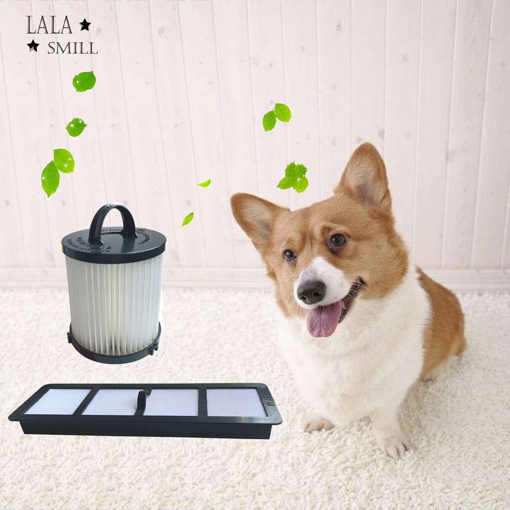 Replacement Upright Vacuum HEPA Filter EF-6 and DCF-21 EF91B Dust Cup Filter ...