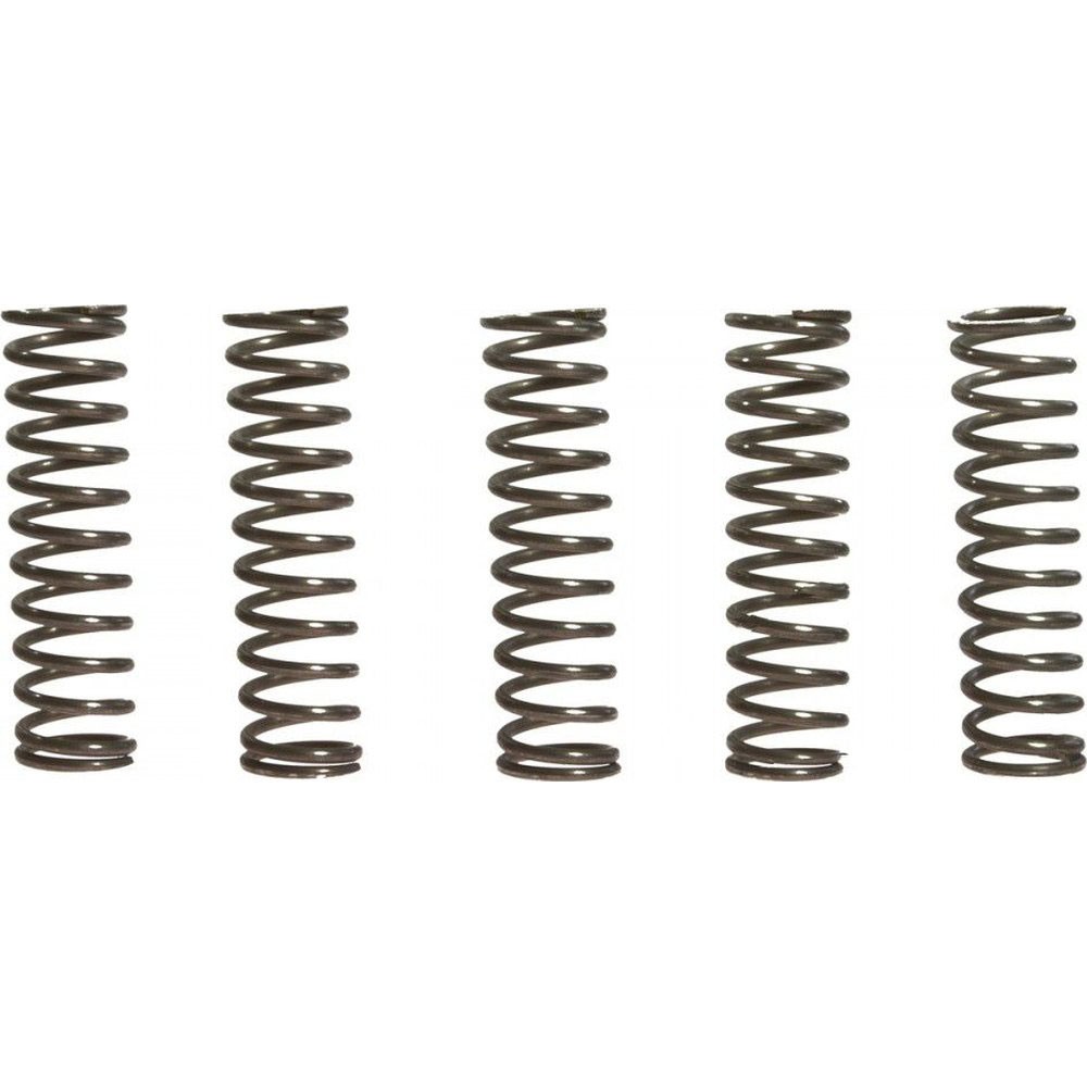 EBC CSK Clutch Spring Kit - CSK67
