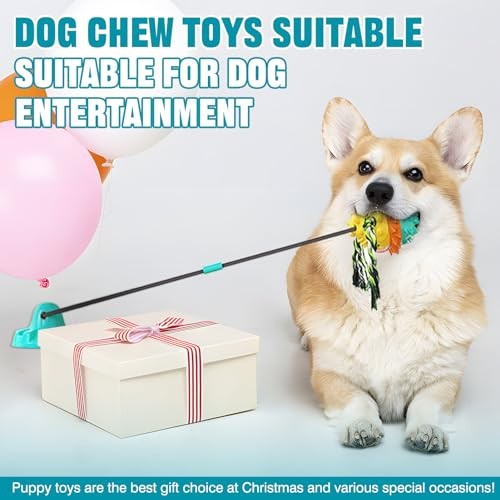 LIPEND DOG TOYS FOR AGGRESSIVE CHEWERS INTERACTIVE - Scratch & Dent