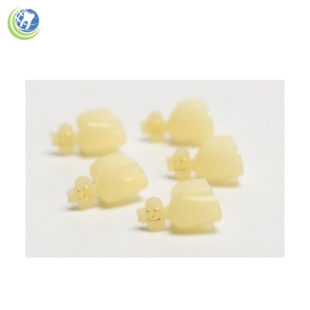 Tooth #4,13,20 or 29 Second Premolar Bicuspids Large Polycarbonate Crown Refill