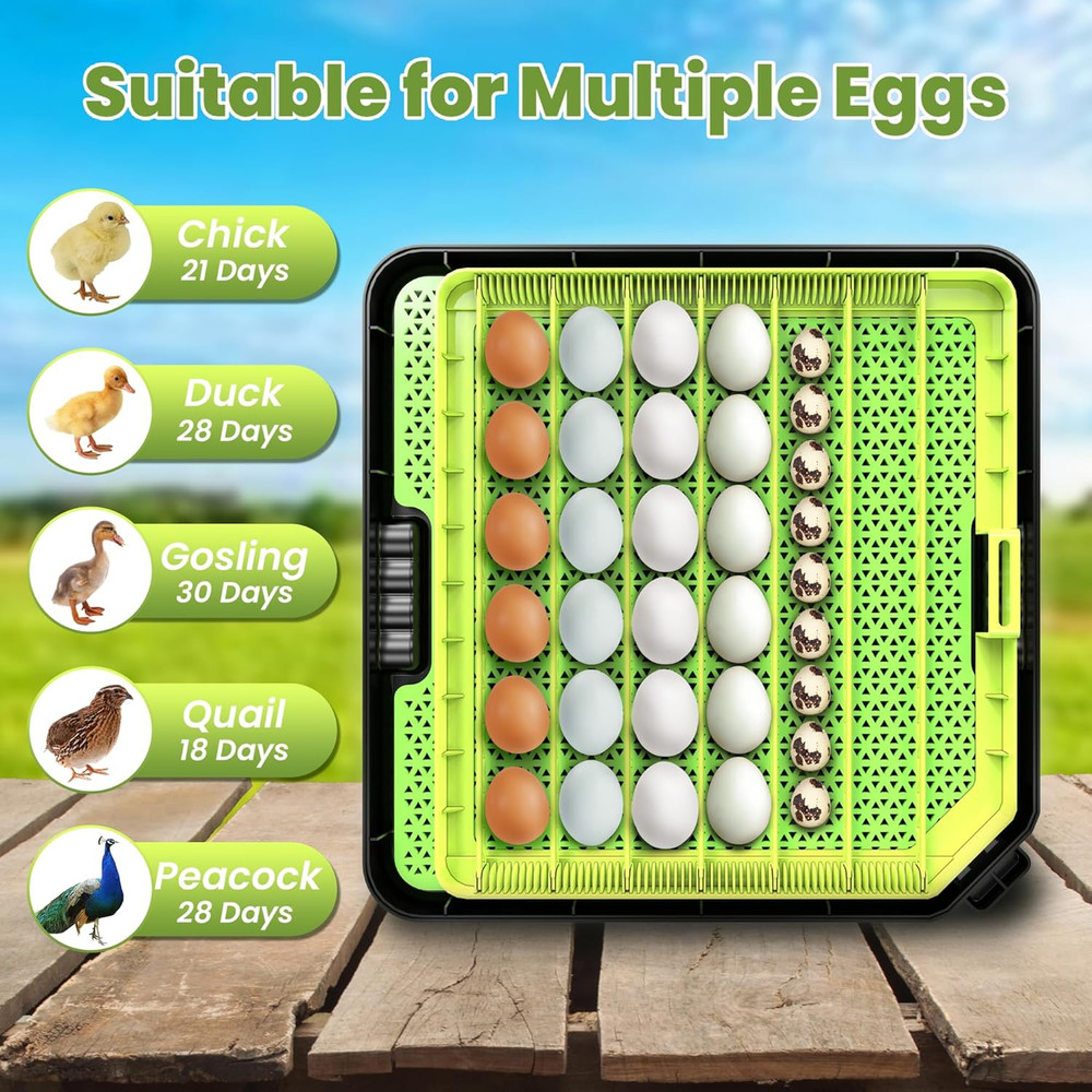 48 Egg Incubator for Hatching Eggs with Automatic Egg Turning, Temperature & Hum