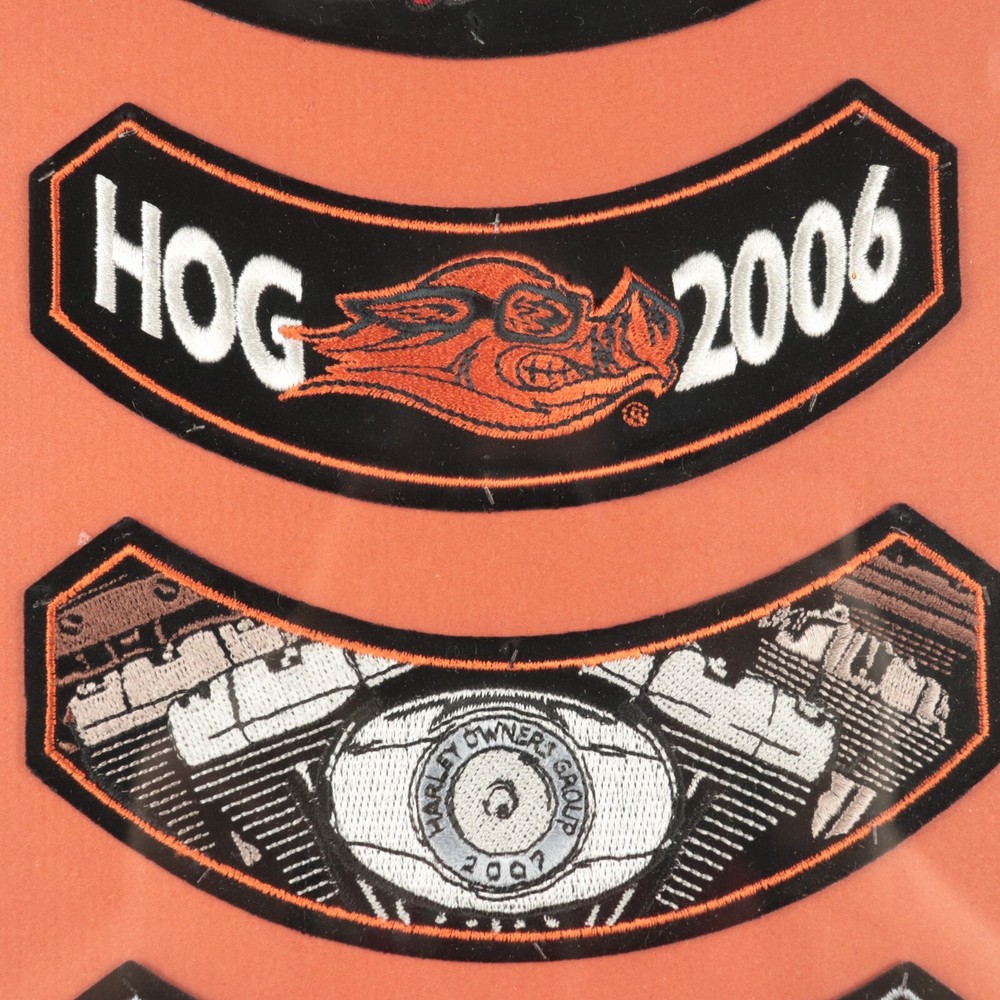 Harley Owners Group (HOG) 2000-2009 Rocker Patch Wall Display - 9.25" x 31.5"