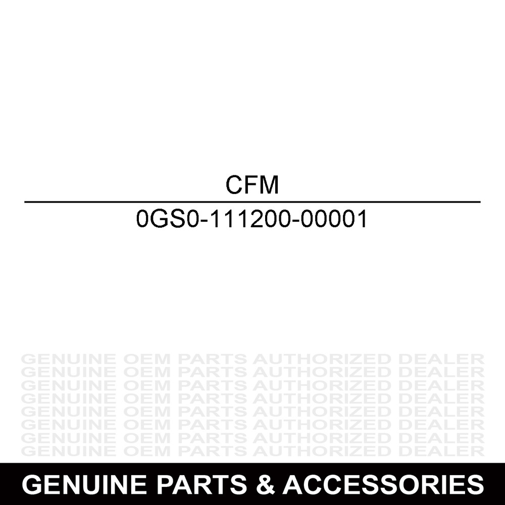 CFMoto 0GS0-111200-00001 Filter Element