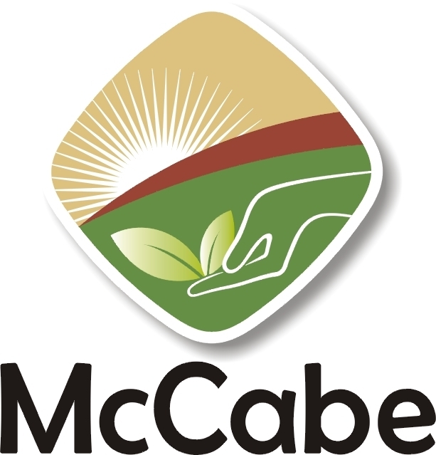 McCabe ORGANIC Sun-Dried Ruby Beet Tea, 80g, USDA Organic Certified