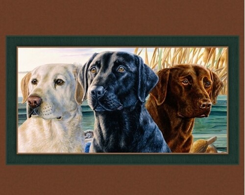 Lab Trio digital Panel Cotton quilt fabric  36 x 44