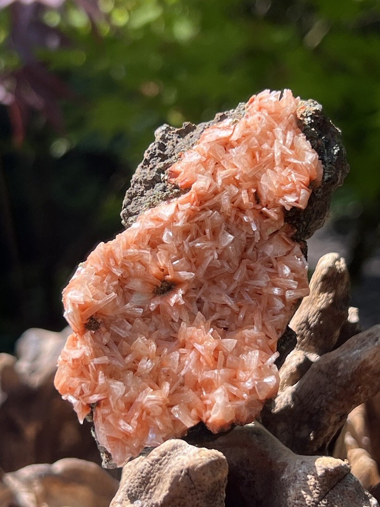 Orange Heulandite Cluster Bed Bright Colouring AAA+ 6 121g