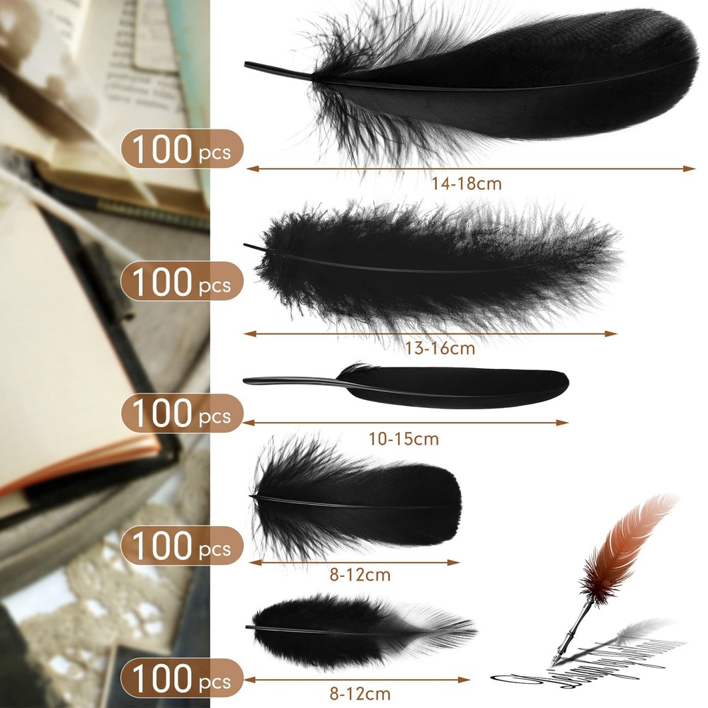 500 Pcs Black Feathers for Crafts Assorted 5 Styles Mixed Black Craft Feather...