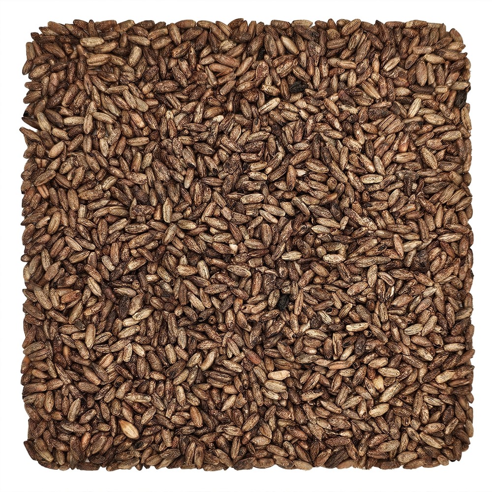 Home Brew Ohio CaraRye Grain 5lb