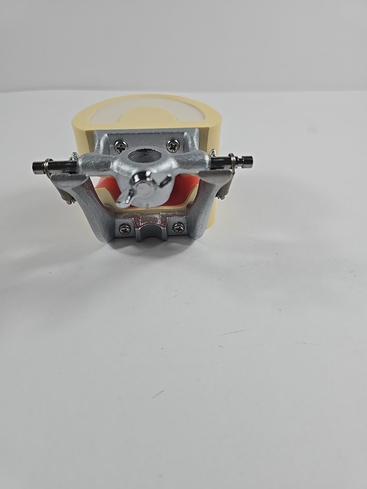 Dental Practice Typodont Model