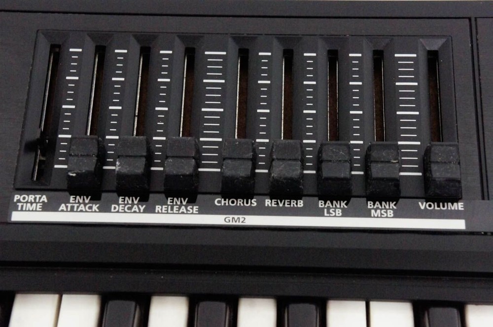 ROLAND A-500PRO MIDI Keyboard Controller