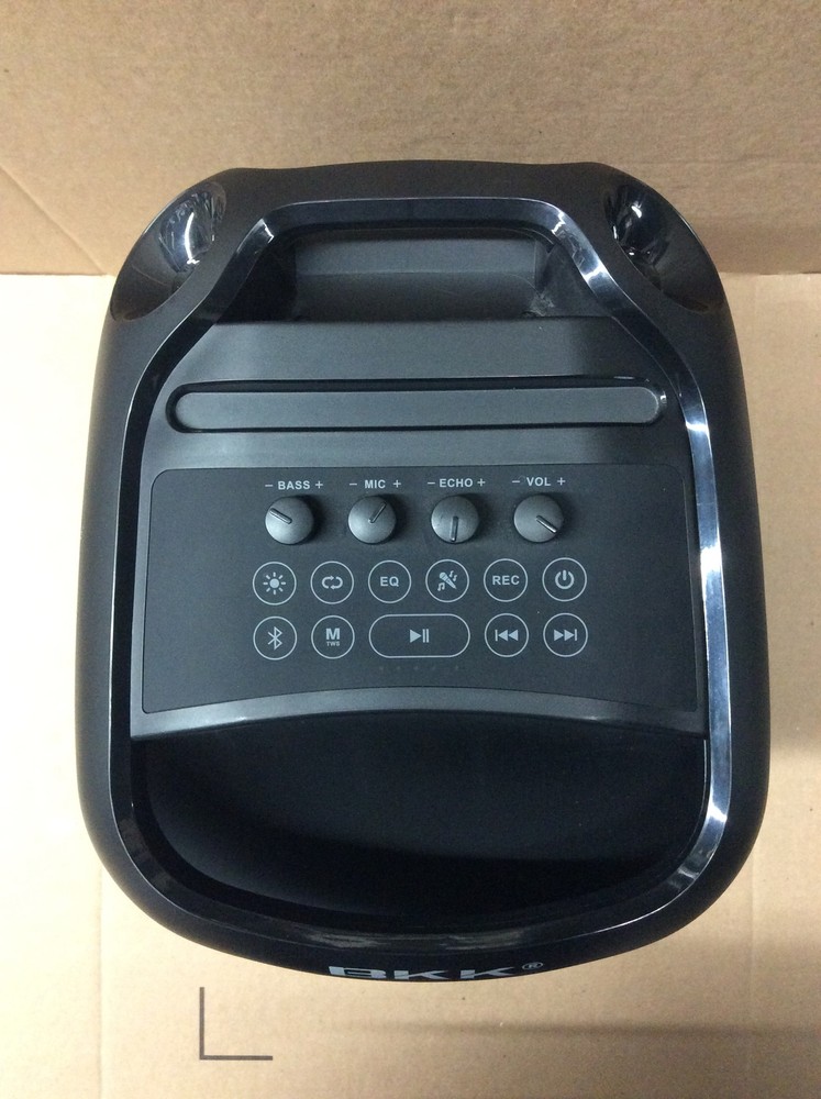 Waterproof Karaoke Bluetooth speaker with LED, Echo, TWS TF Card, mic input