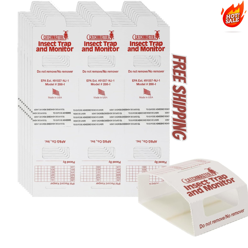 30 Brown Recluse Spider Traps (non-toxic)