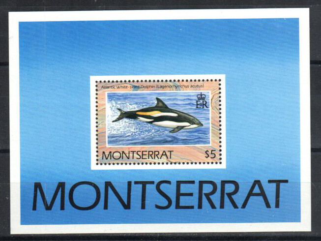 Montserrat Stamp 757 - Dolphin