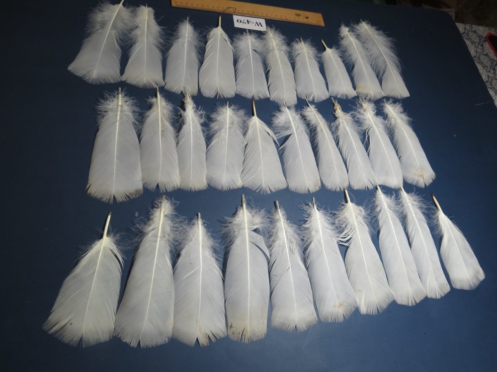 30 Pcs White Turkey Pre-Tail Feathers,Fly Tying Materials,Smudging Feathers W470