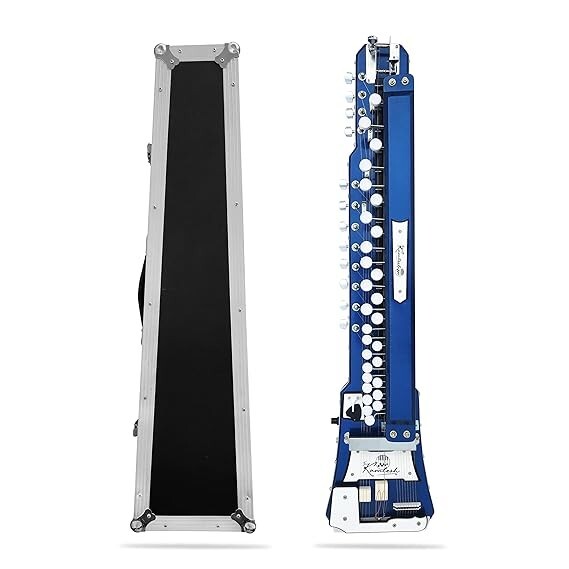 Musical Instrument Professional Quality Electronic Banjo Bulbul Tarang String